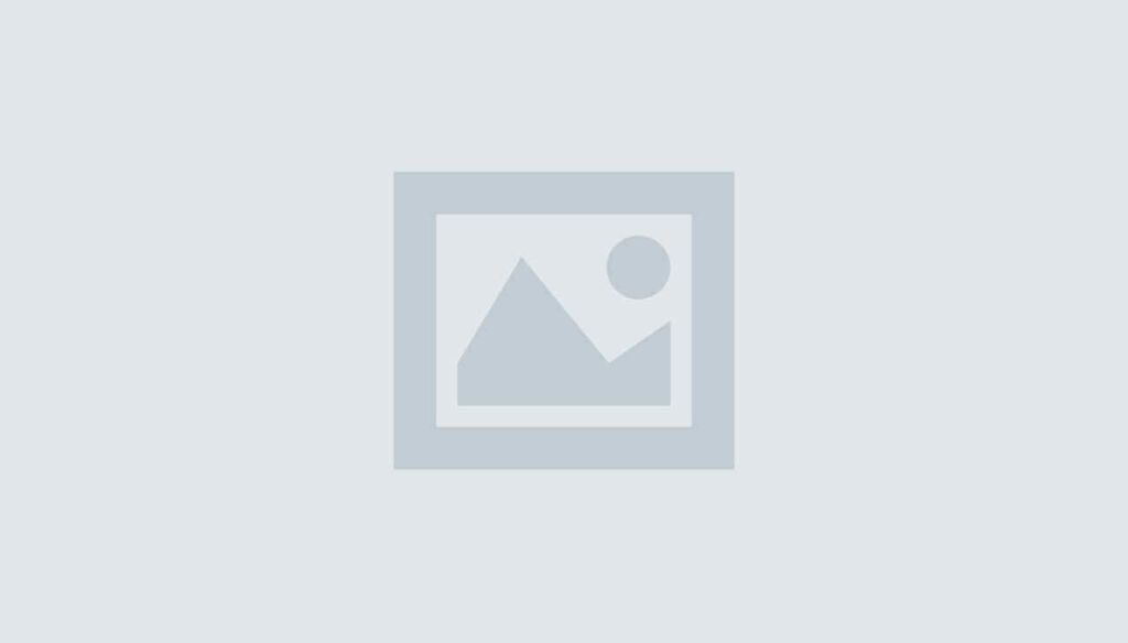 Lorem Ipsum. Proin gravida nibh vel velit auctor aliquet. Aenean sollicitudin, lorem quis bibendum auctor,