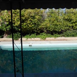 Swimming pool surrounded by lush greenery.