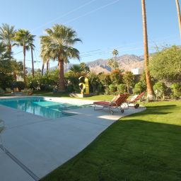 Tropical pool area with loungers and palm trees.
